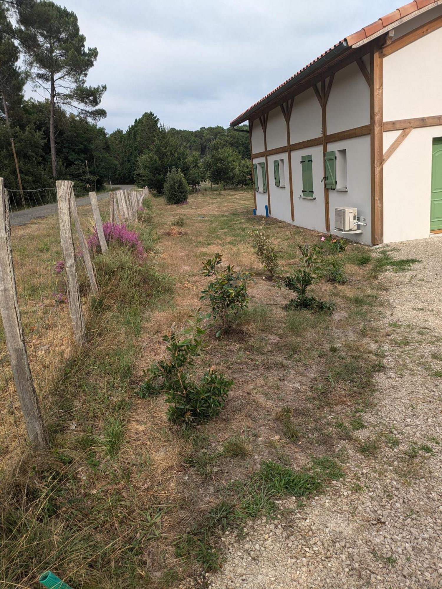 Casayean Entre Pins Et Ocean Vila Onesse-et-Laharie Exterior foto